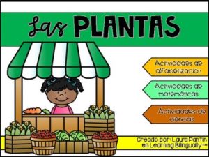Plants Unit in Spanish