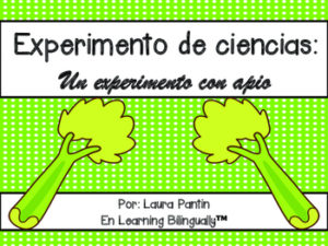 Plant Experiment (Celery)- Spanish