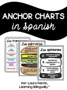 Anchor Charts in Spanish